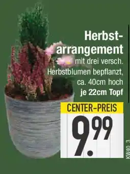 E-Center Herbst- arrangement Angebot