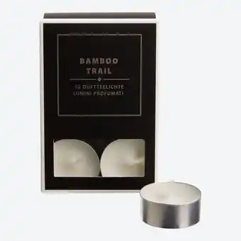 NKD Teelicht mit Duft Bamboo Trail, 12er-Set Angebot