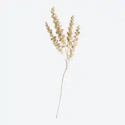 NKD Kunstblume Eukalyptus, Länge ca. 83cm Angebot