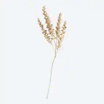 NKD Kunstblume Eukalyptus, Länge ca. 83cm Angebot