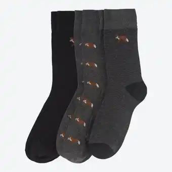 NKD Herren-Socken mit Fuchs-Motiv, 3er-Pack Angebot