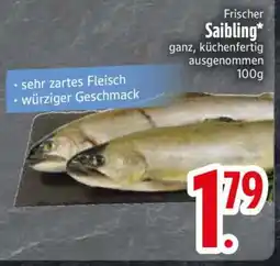 Edeka Frischer Saibling Angebot