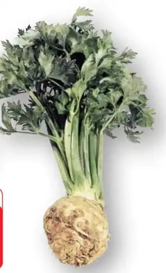 Edeka Unsere Heimat Echt & Gut Kraussalat Angebot