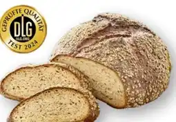 Scheck-in-Center Scheck-in Bäckerei Urkulturkornbrot Angebot