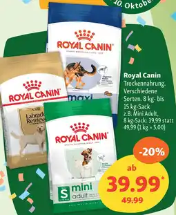 Fressnapf Royal Canin Trockennahrung. Angebot