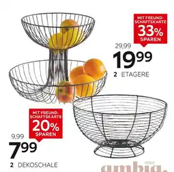 XXXLutz Ambia home dekoschale Angebot