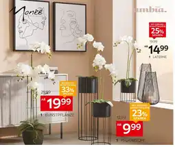 XXXLutz Ambia home pflanztopf Angebot