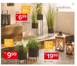 XXXLutz Ambia home pflanztopf Angebot