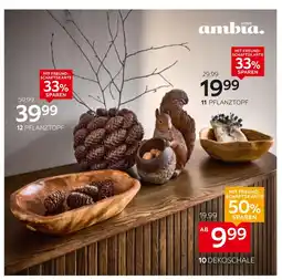 XXXLutz Ambia home dekoschale Angebot