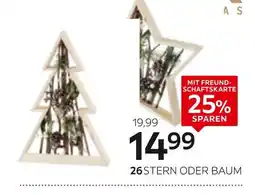 XXXLutz X-mas stern Angebot