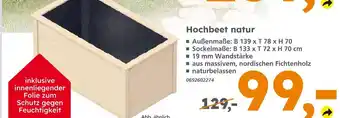 Globus Baumarkt Hochbeet natur Angebot