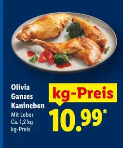Lidl Olivia ganzes kaninchen Angebot