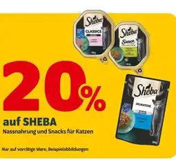 Das Futterhaus Sheba 20% auf sheba Angebot
