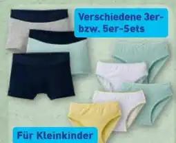 Aldi Nord Lily & Dan Kinder Unterwäsche 3er-Set Angebot