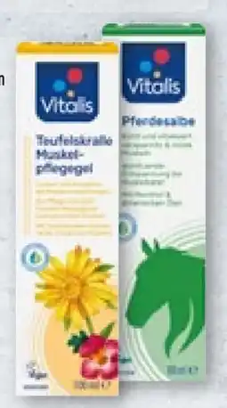 Aldi Nord Vitalis Teufelskralle-Gel Angebot