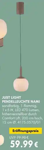 Hardeck Just light pendelleuchte nami Angebot