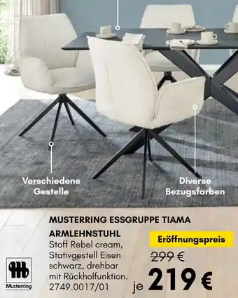 Hardeck Musterring essgruppe tiama armlehnstuhl Angebot