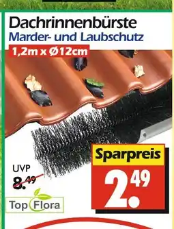 Wreesmann Top flora dachrinnenbürste Angebot