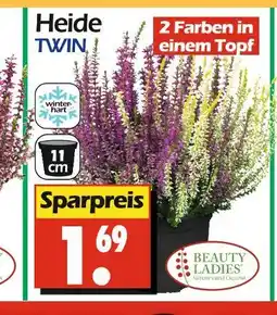 Wreesmann Beauty ladies heide win Angebot