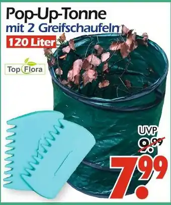 Wreesmann Top flora pop-up-tonne Angebot