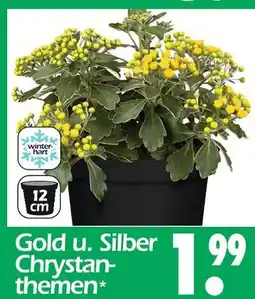 Wreesmann Gold u. silber chrystanthemen Angebot