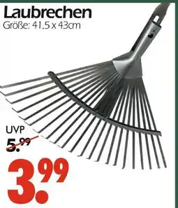 Wreesmann Laubrechen Angebot