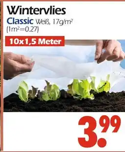 Wreesmann Wintervlies Angebot