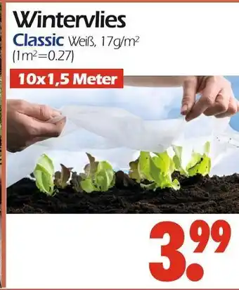 Wreesmann Wintervlies Angebot