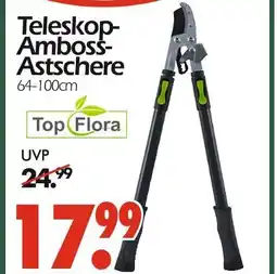 Wreesmann Top flora teleskop-amboss-astschere Angebot