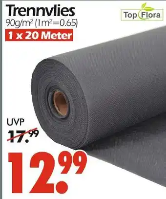 Wreesmann Top flora trennvlies Angebot