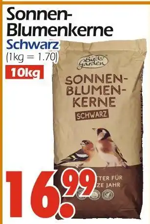 Wreesmann Sonnen-blumenkerne Angebot