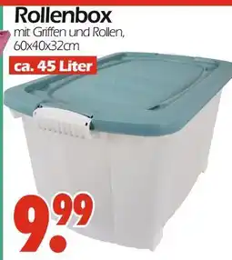 Wreesmann Rollenbox Angebot