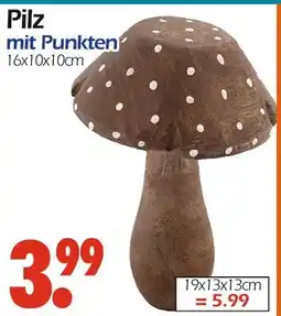 Wreesmann Pilz mit punkten Angebot