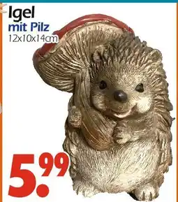 Wreesmann Igel mit pilz Angebot