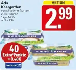 WEZ Arla Kaergarden Angebot