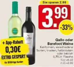 WEZ Gallo oder Barefoot Weine Angebot