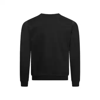 Netto Marken-Discount Pierre Cardin Sweatshirt Pullover Angebot