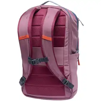 Netto Marken-Discount Cotopaxi Rucksack Allpa 26L Daypack Angebot