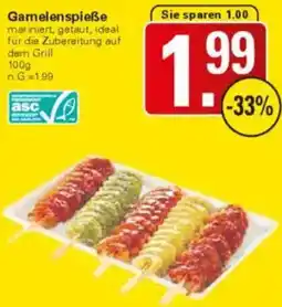 WEZ Garnelenspieẞe Angebot