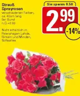 WEZ Strauß Sprayrosen Angebot