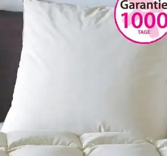 Galeria CENTA-STAR extra Kopfkissen GOLF VON ALASKA Angebot