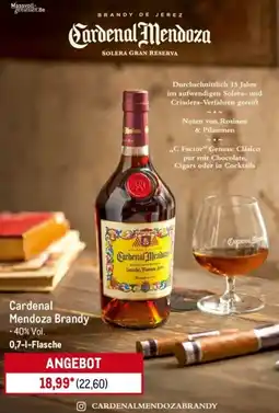 METRO Cardenal Mendoza Brandy Angebot