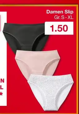 Woolworth Damen slip Angebot