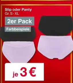 Woolworth Slip oder panty Angebot