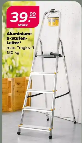 NETTO Aluminium-5-stufen-leiter Angebot