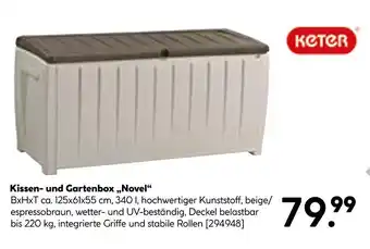 Hellweg Keter kissen- und gartenbox novel Angebot