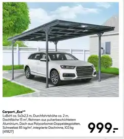 Hellweg Carport „eco“ Angebot