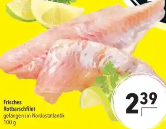 CITTI Markt Frisches Rotbarschfilet Angebot