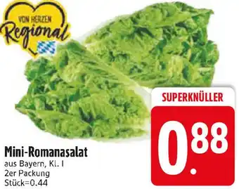 Edeka Mini-Romanasalat Angebot