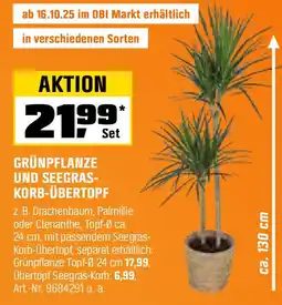 OBI GRÜNPFLANZE UND SEEGRAS- KORB-ÜBERTOPF Angebot